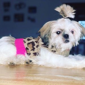 Meet your Posher, Ezekiel & juanna